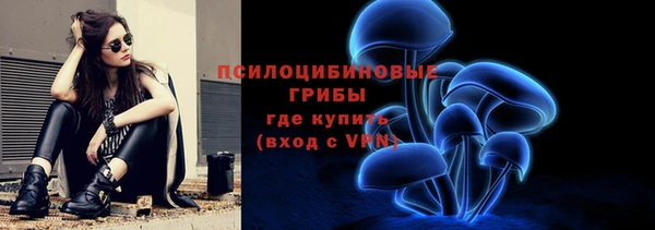 ГАЛЛЮЦИНОГЕННЫЕ ГРИБЫ Иннополис