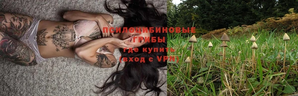 ECSTASY Инта