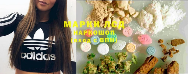 ГАЛЛЮЦИНОГЕННЫЕ ГРИБЫ Иннополис