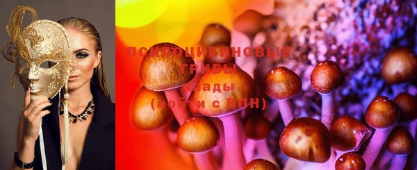 ECSTASY Инта