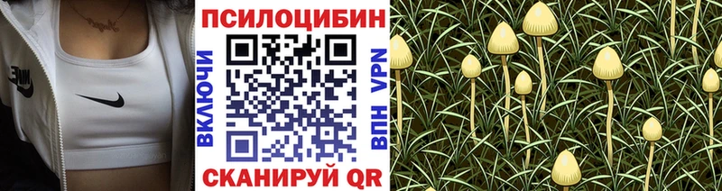 Псилоцибиновые грибы GOLDEN TEACHER  Курильск 